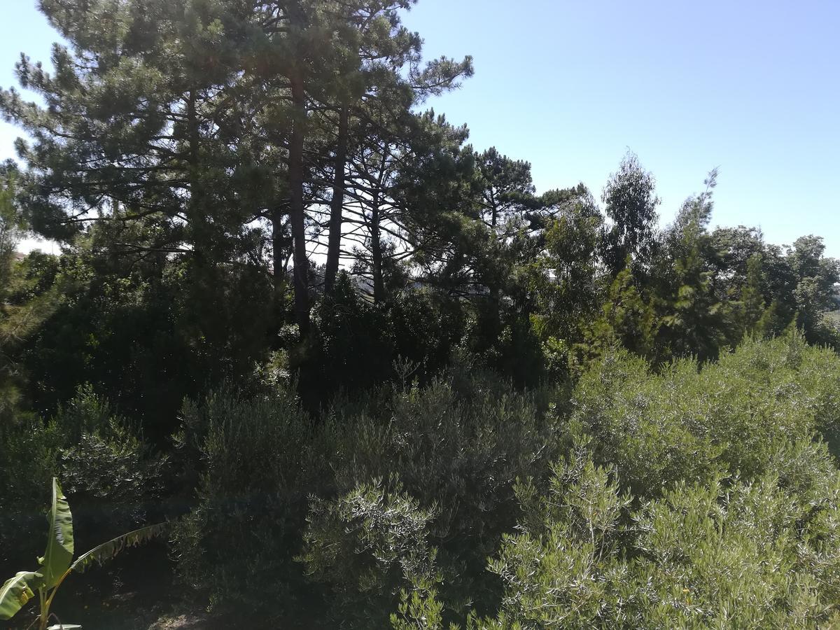 Quinta Vale Real Villa Alcobaca Bagian luar foto