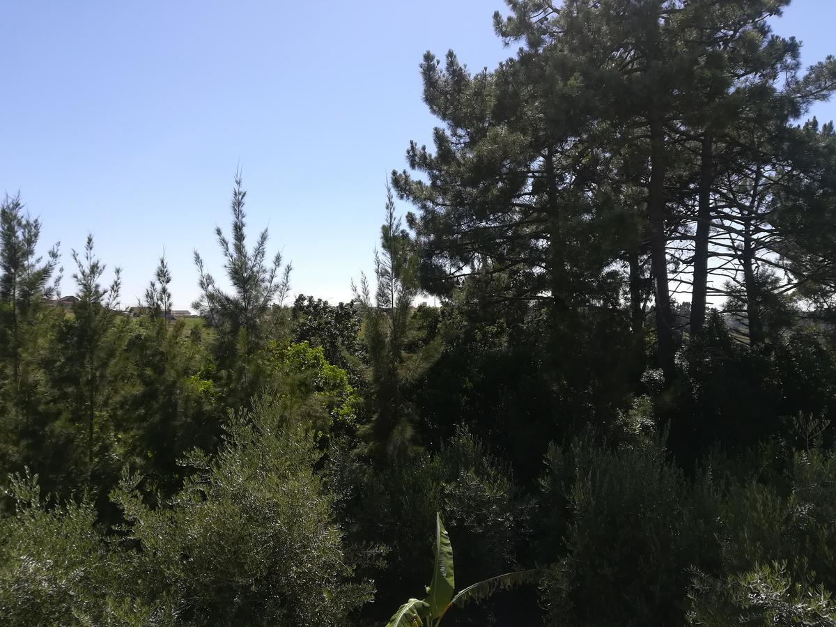 Quinta Vale Real Villa Alcobaca Bagian luar foto