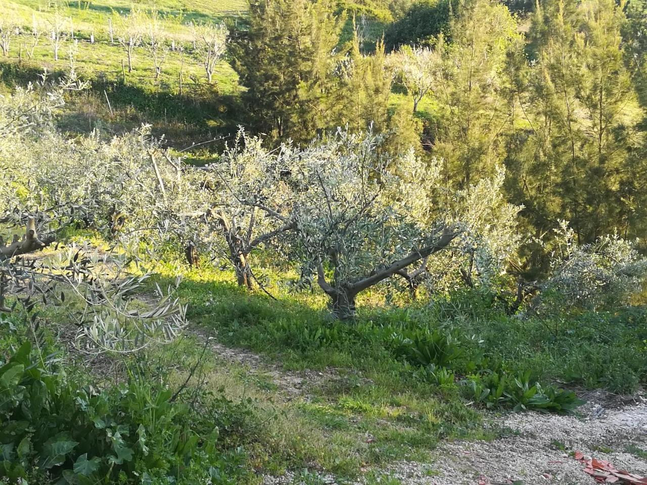 Quinta Vale Real Villa Alcobaca Bagian luar foto
