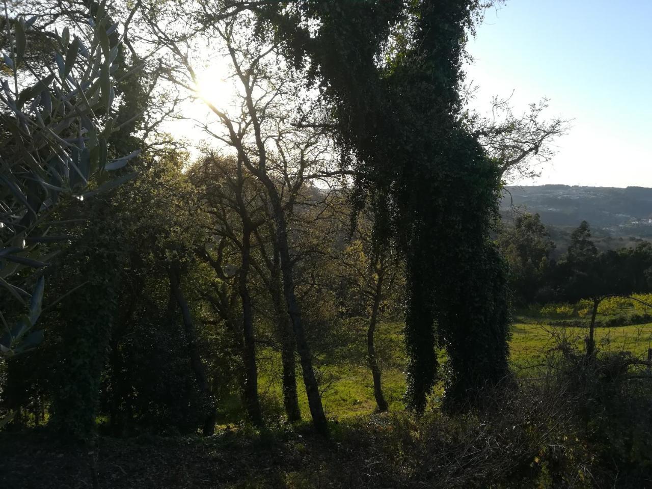 Quinta Vale Real Villa Alcobaca Bagian luar foto